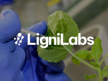 LigniLabs