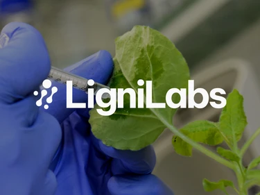 LigniLabs