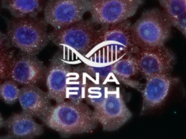 2 NA FISH