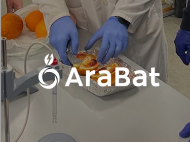 Arabat