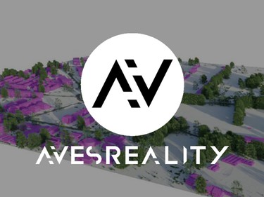 AVES Reality