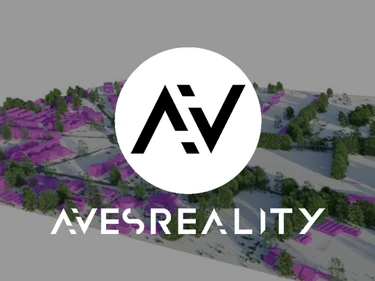 AVES Reality