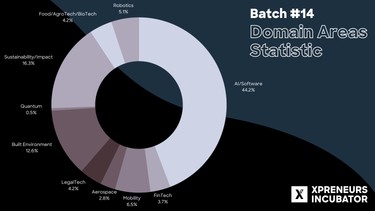 Domain Areas Statistics Batch 14