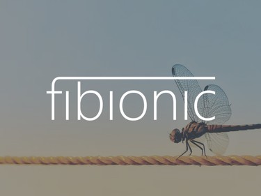 Fibionic
