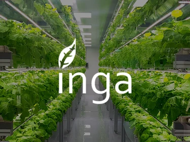 Inga