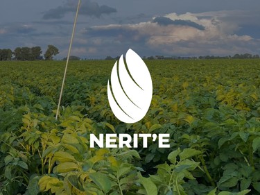 NERITE