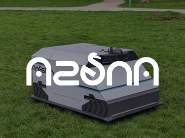 Angsa