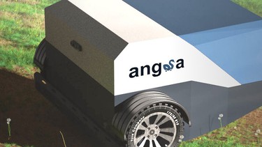Angsa