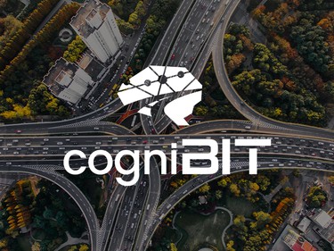 Cognibit
