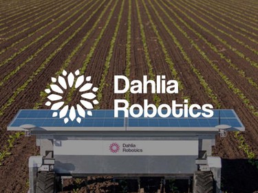 Dahlia robotics