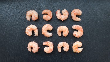 Happy ocean foods garnele