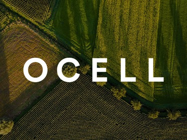 Ocell