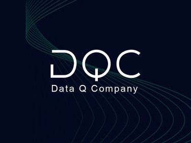 Data Q Company
