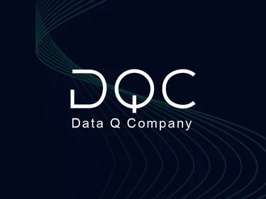 Data Q Company