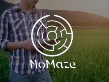 No Maze