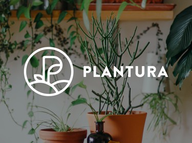 Plantura