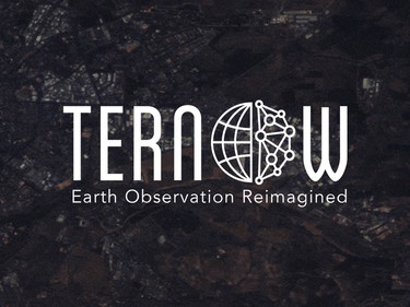 Ternow ai