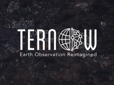 Ternow ai