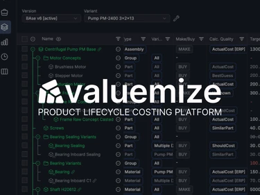 VALUEMIZE
