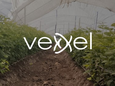 VEXXEL