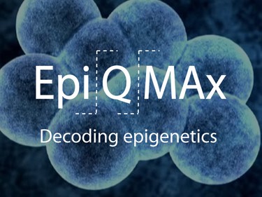 Epiqmax