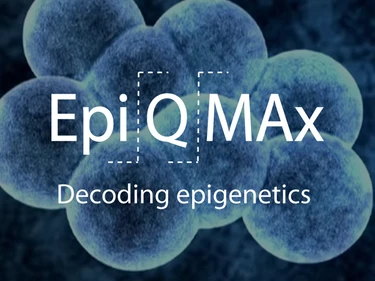Epiqmax