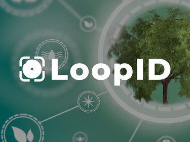 Loopid