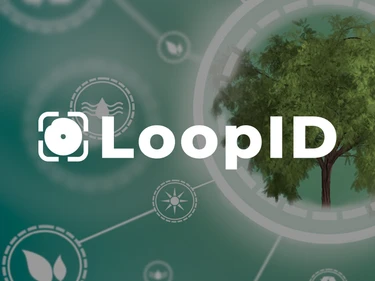 Loopid